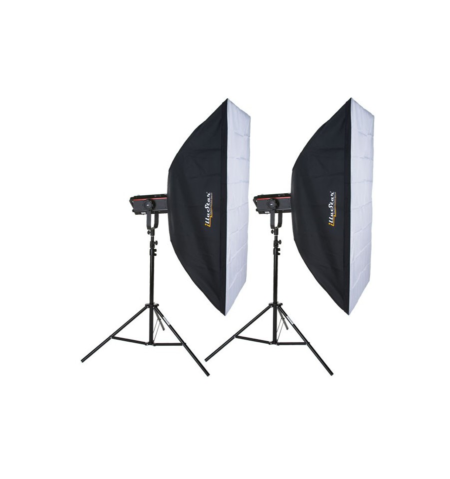 Kit Flash de Studio Photo - 2x FX-600-PRO 600 Ws Affichage