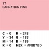 Rouleau de papier de fond - 17 Carnation Pink 1,35 x 11m