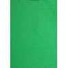 Falcon Eyes Achtergronddoek BCP-10 2,9x5 m Chroma Groen Uitwasbaar