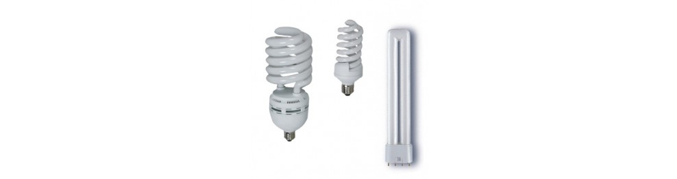 Fluorescent and Led lamp Fluorescent and Led lamp